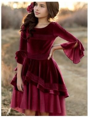 Joyfolie Girls Wine Velvet Layered Party Dress Size 3